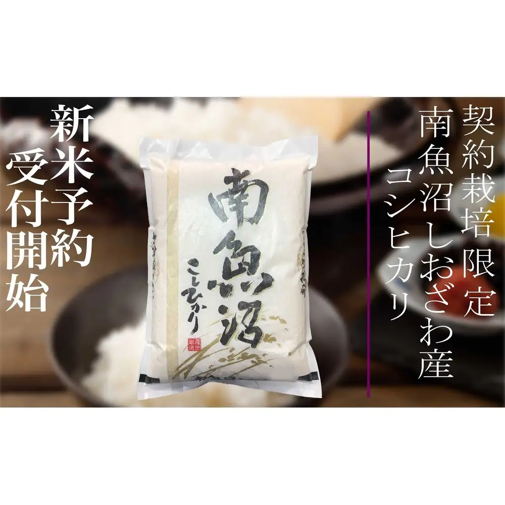 【令和8年産　新米予約】定期便12ヶ月：精米2Kg 契約栽培限定 南魚沼しおざわ産コシヒカリ【定期便 銘柄米 ブランド米 精米 こしひかり コシヒカリ 魚沼産 新潟米 ごはん】【2026年10月上旬から1ヶ月以内に順次発送予定】