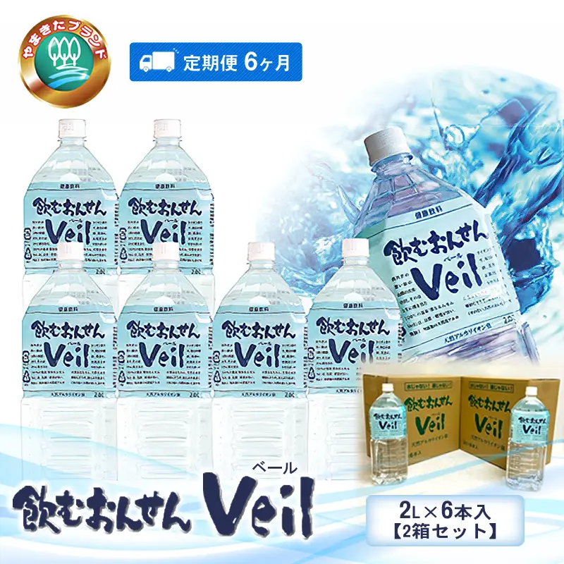 【定期便6ヶ月】飲むおんせんベール2L×6本入【2箱セット】【 温泉水 温泉純度100％ 保存水 防災 神奈川県 山北町 】