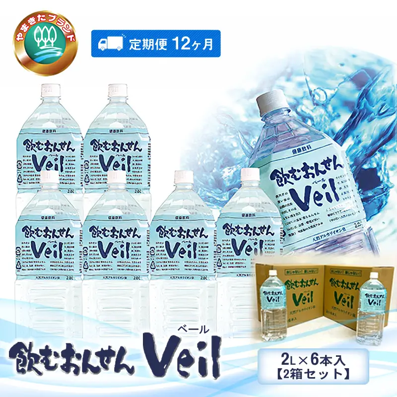 【定期便12ヶ月】飲むおんせんベール2L×6本入【2箱セット】【 温泉水 温泉純度100％ 保存水 防災 神奈川県 山北町 】