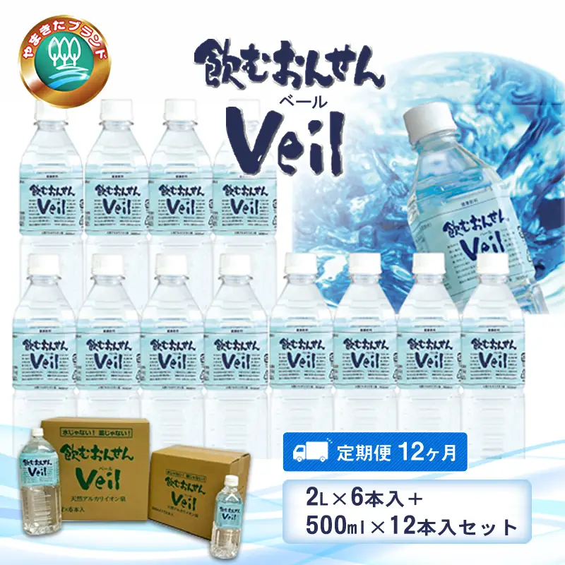 【定期便12ヶ月】飲むおんせんベール2L×6本入+500ml×12本入セット【 温泉水 温泉純度100％ 保存水 防災 神奈川県 山北町 】