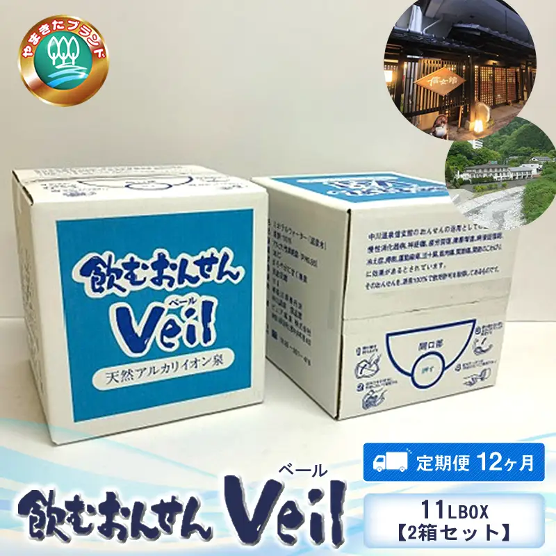 【定期便12ヶ月】飲むおんせんベール11LBOX【2箱セット】【 温泉水 温泉純度100％ 保存水 防災 神奈川県 山北町 】