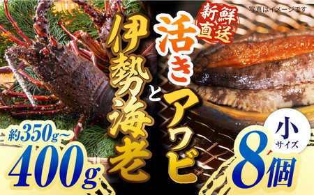 【日付指定必須】【配送エリア限定】五島産養殖活きアワビ 8個 と 伊勢えび（約350g〜400g）セット あわび 鮑 イセエビ 海老 五島市 /（有）都工業 [PEX005]