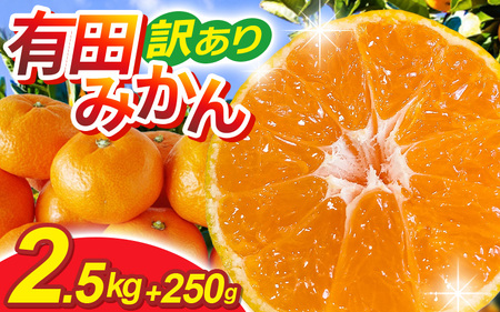 家庭用 有田 みかん サイズ混合(2S～2L)2.5kg+250g ※11月発送(完熟) / 温州みかん 有田みかん 訳あり 甘い 光センサー選果 果物 柑橘 和歌山 ※北海道・沖縄・離島への配送不可 【ikd004-cm-2d5-nov】
