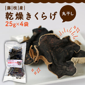 きくらげ 乾燥 丸干し 25g × 4袋 国産 きくらげ