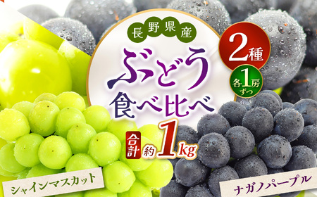 【2026年先行予約】シャインマスカット・ナガノパープル 約1kg (2房)【9月下旬以降発送予定】