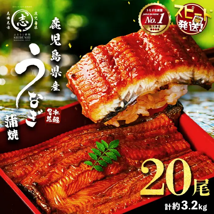 鹿児島県産うなぎ蒲焼 名水慈鰻 20尾(1尾約160g)＜計約3.2kg＞ うなぎ 鰻 ウナギ 国産 鹿児島県産 九州産 蒲焼き 冷凍 うな重 ひつまぶし wa1-001