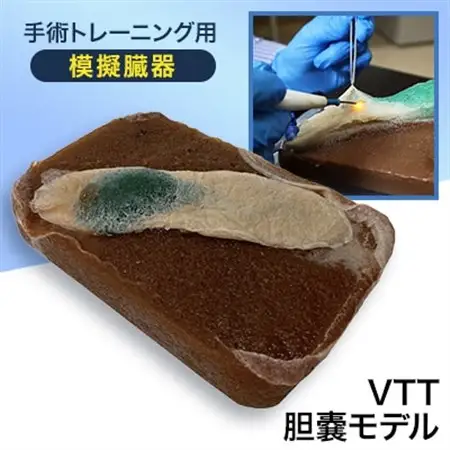 手術トレーニング用模擬臓器「VTT 胆嚢モデル」【1406093】