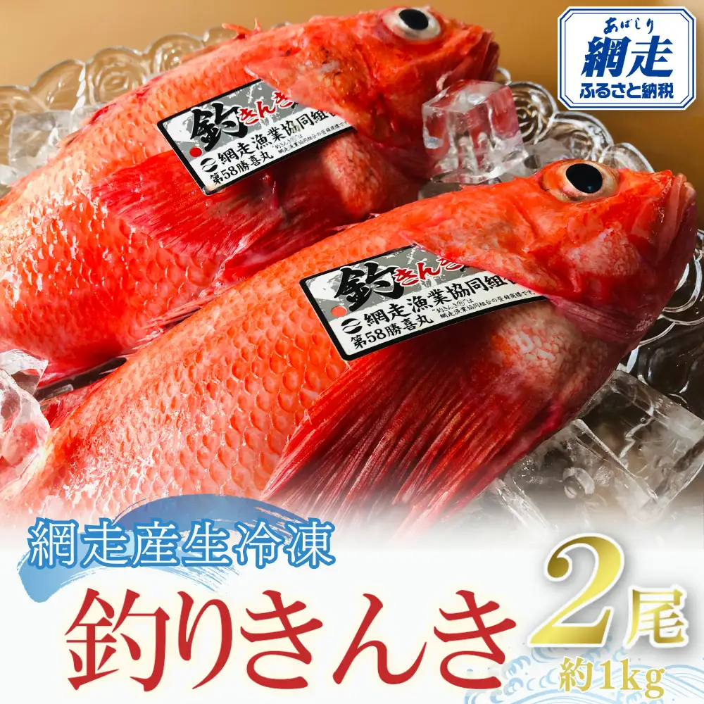 【先行予約】網走産生冷凍釣きんき【2尾で約1kg】（2026年4月中旬頃～11月下旬頃発送） ABAO073