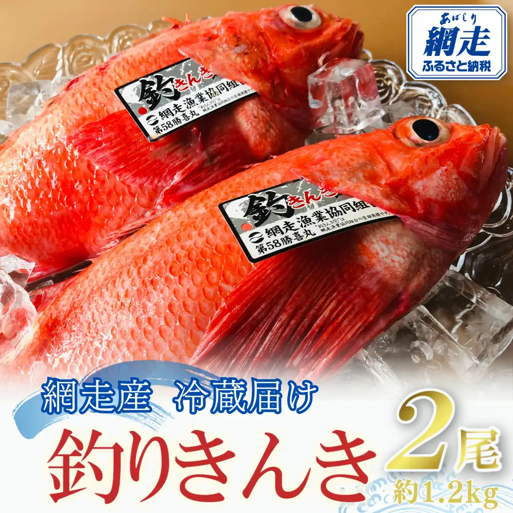 【先行予約】【冷蔵届け】網走産釣きんき【2尾で約1.2kg】（2026年4月中旬頃～11月下旬頃発送） ABAO074