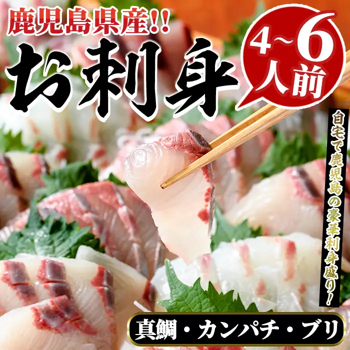 厳選お刺身BOX(4～6人前) 国産 お刺身 魚貝 魚介 鯛 カンパチ ブリ 海産物 刺身 おつまみ セット 【さるがく水産】akn028-16