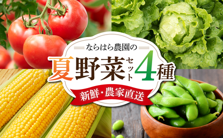 新鮮！農家直送！夏野菜のセット（トマト、枝豆、とうもろこし、葉物野菜）【ならはら農園】※2026年8月上旬以降発送