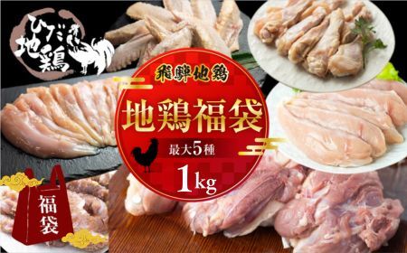 鶏肉 福袋 合計1kg 鶏肉 飛騨