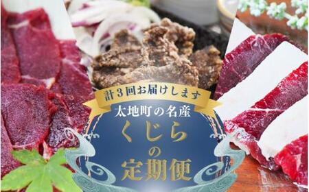 【3か月定期便】太地町の名産！ くじらの人気返礼品を３ヶ月連続でお届け！ / くじら 鯨 クジラ 刺身 赤身 皮 竜田揚げ クジラ肉 鯨肉 懐かしい 人気 冷凍【tkb900】