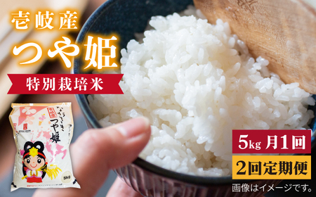 【全2回定期便】壱岐産 つや姫 5kg《壱岐市》【壱岐市農業協同組合】米 お米 ごはん 甘み 旨味 [JBO135] 九州