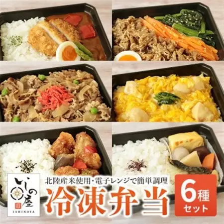 お試し　冷凍弁当　6種セット_惣菜・加工品   _【配送不可地域：離島】【1514690】