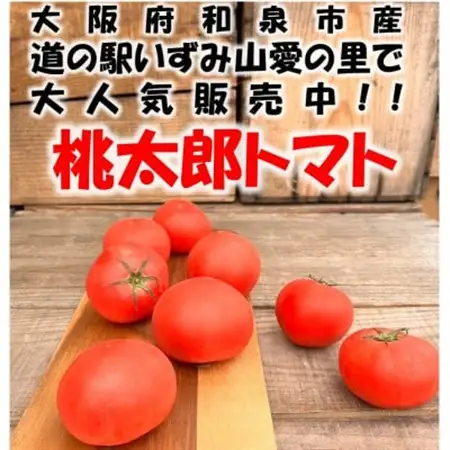 桃太郎トマト 約2kg(10～12玉) 大阪府　和泉市　道の駅いずみ山愛の里【配送不可地域：離島】【1525134】