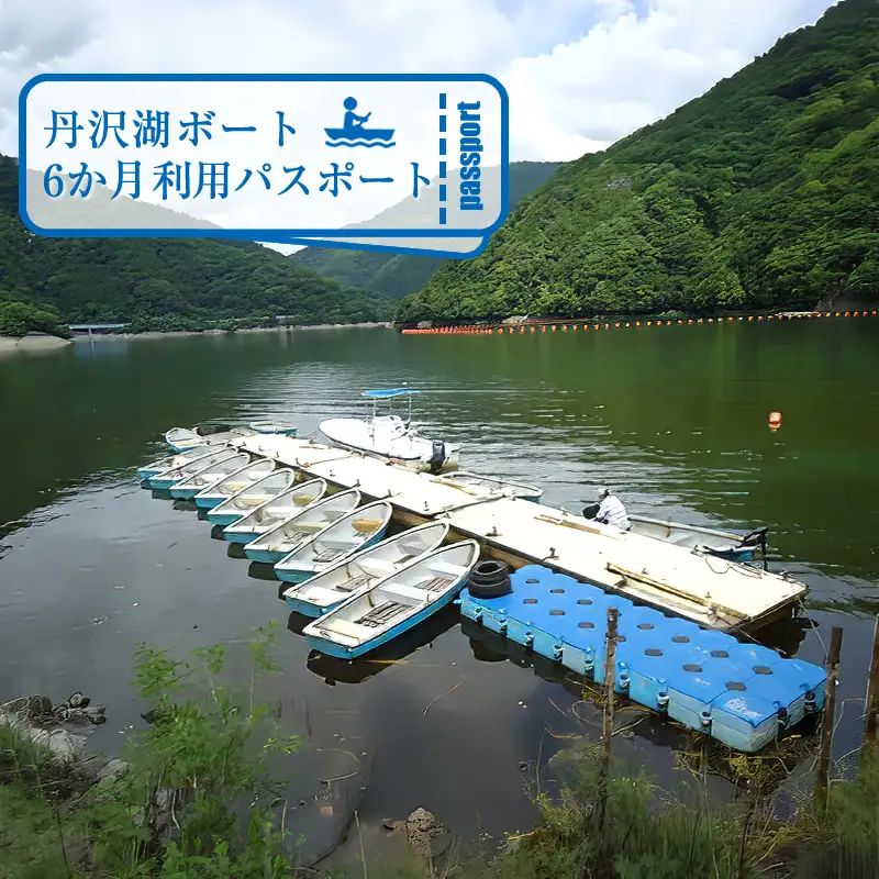 丹沢湖ボート6か月利用パスポート【 体験チケット 利用チケット アウトドア 神奈川県 山北町 丹沢湖 】