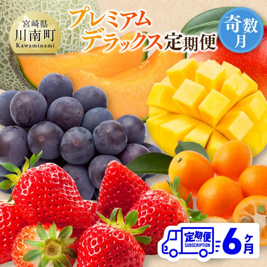 【 全6回定期便 】 プレミアム デラックス 定期便 【奇数月】 【 川南町産 きんかん いちご 完熟 マンゴー ぶどう ピオーネ 赤肉 メロン 】