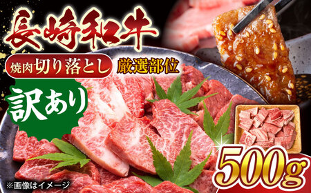 【訳あり】【A4~A5】長崎和牛焼肉切り落とし(肩ロース・バラ）　500g【株式会社 MEAT PLUS】[QBS003]