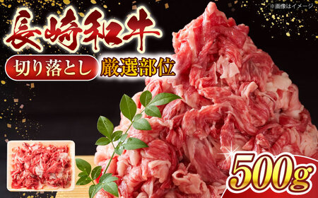 【A4~A5】長崎和牛 牛肉 切り落とし 500g 【株式会社 MEAT PLUS】[QBS005] 