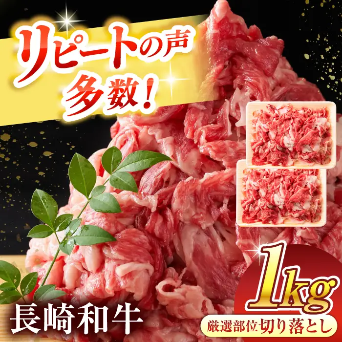 長崎和牛 牛肉切り落とし 1kg 国産 冷凍 おすすめ 牛肉切り落とし QBS006