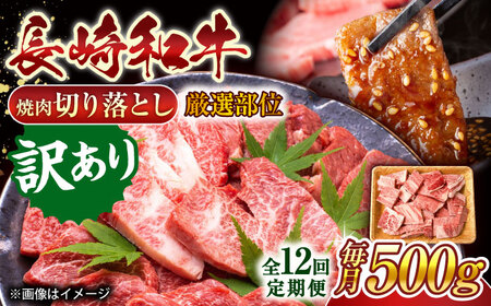 【全12回定期便】【訳あり】【A4~A5】長崎和牛焼肉切り落とし(肩ロース・バラ）　500g【株式会社 MEAT PLUS】[QBS041]