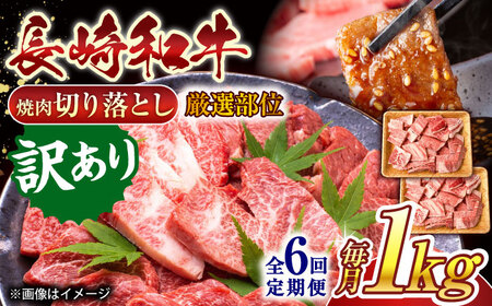 【全6回定期便】【訳あり】【A4~A5】長崎和牛焼肉切り落とし(肩ロース・バラ）　1kg（500g×2p）【株式会社 MEAT PLUS】[QBS043]