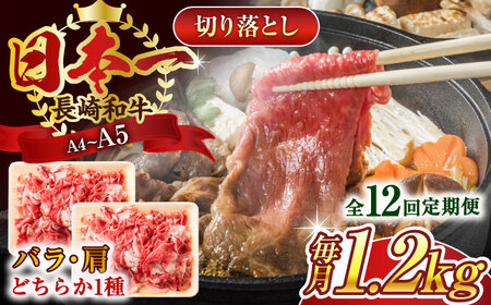 【全12回定期便】【A4~A5】長崎和牛切り落とし　1.2kg(600g×2p）【株式会社 MEAT PLUS】[QBS053]