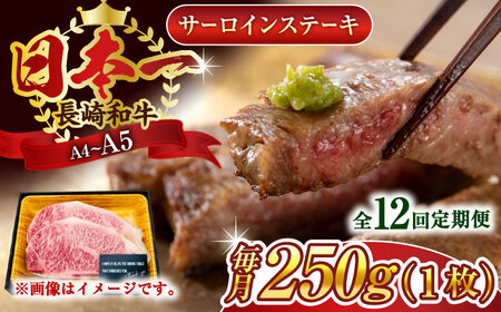 【全12回定期便】【A4~A5】長崎和牛サーロインステーキ　250g（250g×1枚）【株式会社 MEAT PLUS】[QBS071]