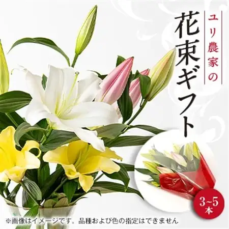 ユリ農家から直送!笑顔引き出す ユリの花束ギフト_花・観葉植物  花 _【1293099】