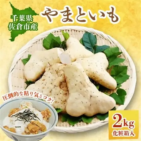 佐倉市産やまといも　2kg×1箱_野菜  いも イモ 芋_【配送不可地域：離島】【1293687】