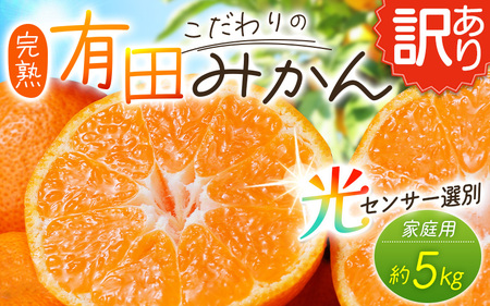 【訳あり】有田みかん 約5kg ご家庭用 サイズ混合【nuk161E】