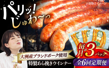 ウインナー【全6回定期便】特製 5本入り×3袋  ウインナー[AGAZ074]