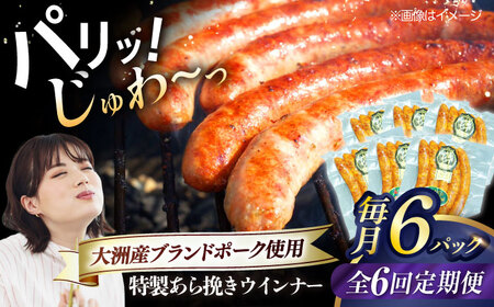 ウインナー【全6回定期便】特製 5本入り×6袋  ウインナー[AGAZ077]