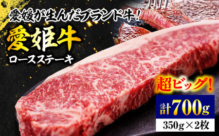 ロース ステーキ（2人前）牛肉 ロース [AGCC007]