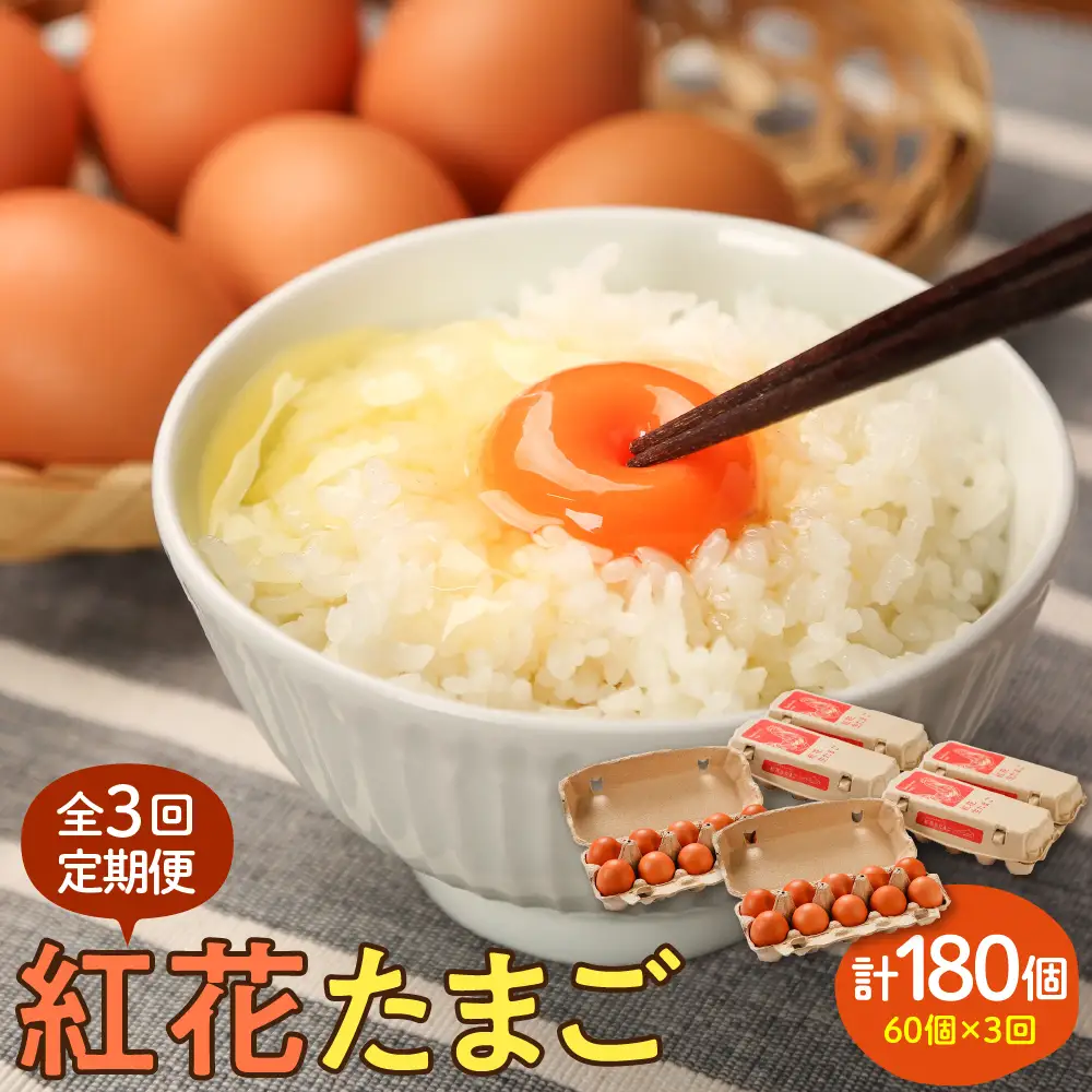 【定期便】 卵 紅花たまご 60個 × 3ヶ月 計180個