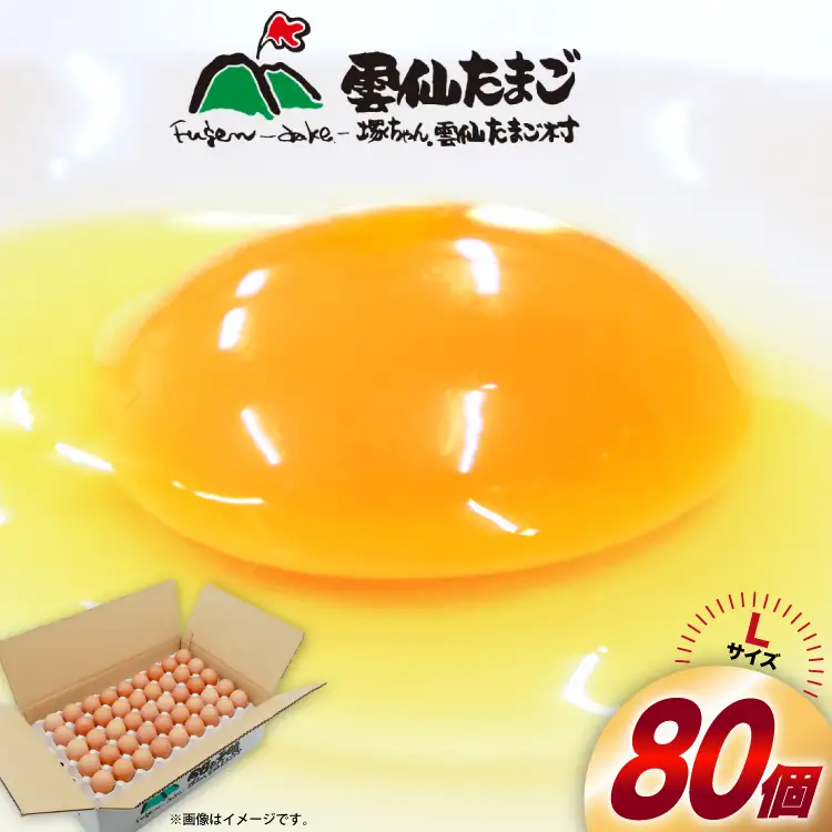 BI026 たっぷり！ 雲仙たまごLサイズ 80個 (75個＋割れ補償5個入り) [長崎県 島原市]