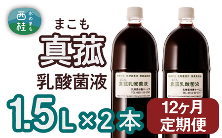 【定期便】真菰（まこも）乳酸菌液　1.5L×2本　12ヶ月定期便【n0510-12_nyu】