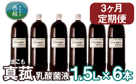【定期便】真菰（まこも）乳酸菌液　1.5L×6本　3ヶ月定期便【n0511-03_nyu】