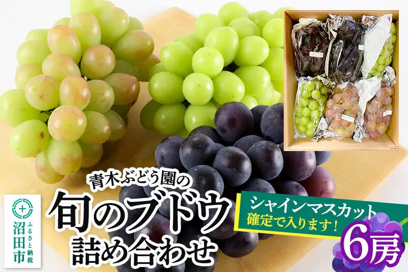 《9月上旬～下旬発送》青木ぶどう園の旬のブドウ詰め合わせ 6房