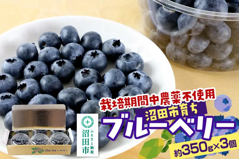 《7月中旬～8月中旬発送》栽培期間中農薬不使用 ブルーベリー 約350g×3個 ベリーガーデン