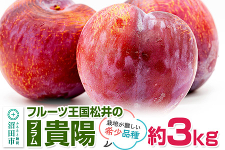 《8月上旬～8月中旬にお届け》 高級プラム「貴陽」約3kg サイズ不揃い ご自宅用 フルーツ王国松井