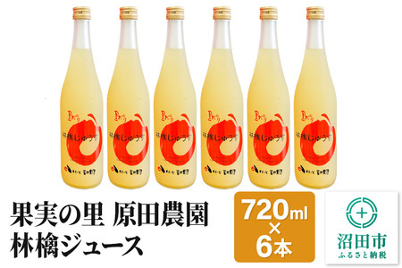 果実の里 原田農園 林檎ジュース 720ml×6本 りんごジュース ストレート100％果汁