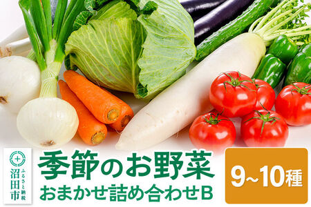 季節のお野菜 おまかせセット B（9～10種類）詰め合わせ