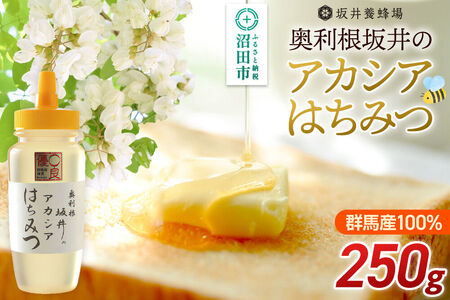 奥利根坂井のアカシアはちみつ 250g×1本 坂井養蜂場 [蜂蜜 はちみつ ハチミツ 国産 アカシア アカシヤ]