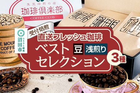 《受付焙煎》直送フレッシュ珈琲 ベストセレクション【豆／浅煎り】各200g×3種 計600g 珈琲倶楽部 沼田店
