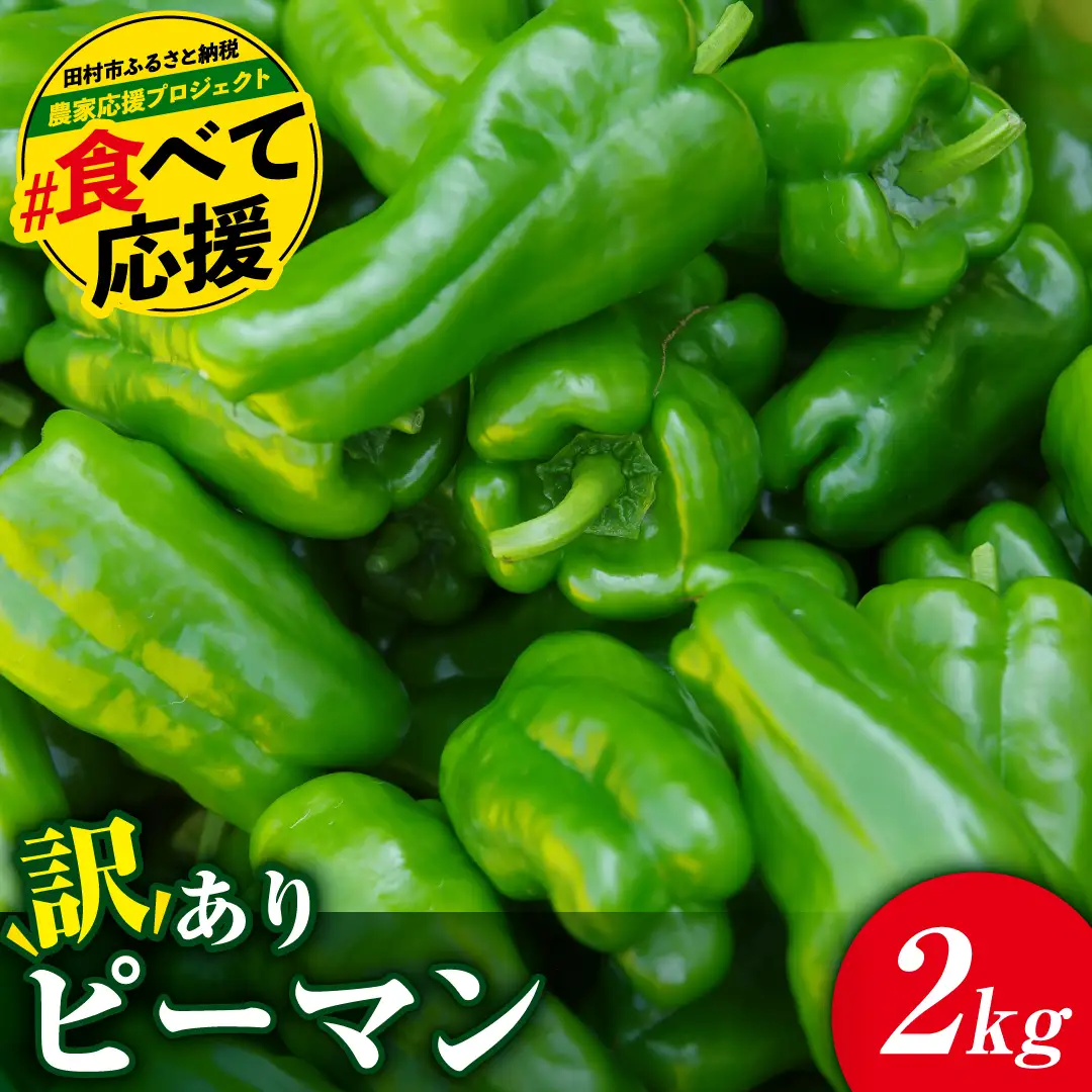 【訳あり】 ピーマン 2kg 6月下旬発送 農家直送 福島県 田村市