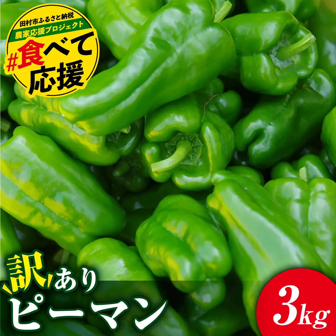 【訳あり】 ピーマン 3kg 農家直送 6月下旬発送 福島県 田村市