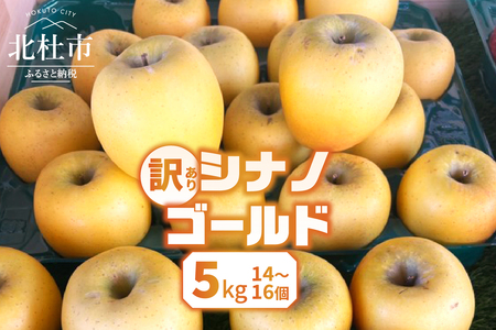 【2026年先行予約】【訳あり】シナノゴールド5kg(14個～16個） りんご 山梨県産  期間限定 家庭用 規格外 フルーツ 果物 果実 山梨 北杜市 [h301]