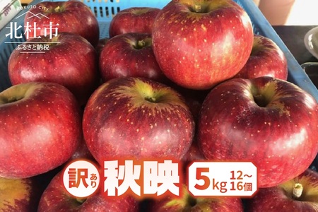 【2026年先行予約】【訳あり】秋映5kg(12個～16個） りんご 山梨県産 秋映 期間限定 家庭用 規格外 フルーツ 果物 果実 山梨 北杜市 [h301]